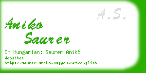 aniko saurer business card